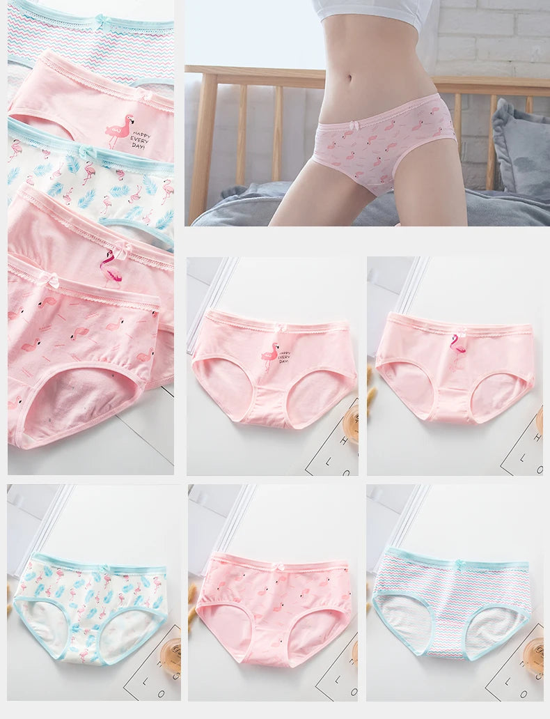 5Pcs COTTON PANTIES