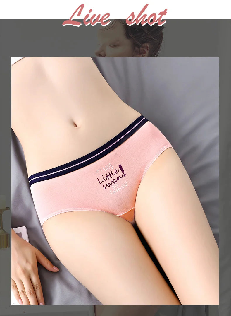 5Pcs COTTON PANTIES