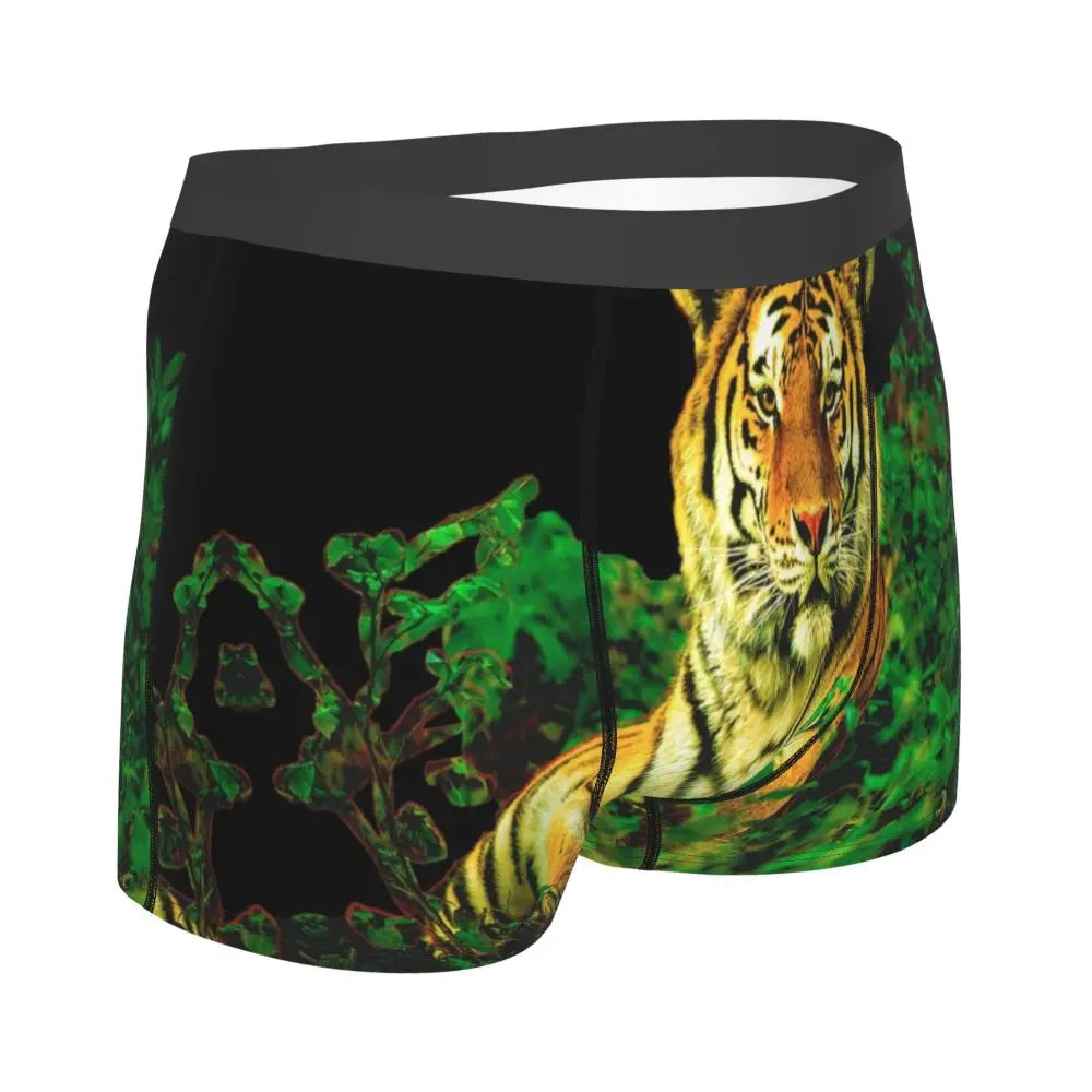 TIGER BOXER