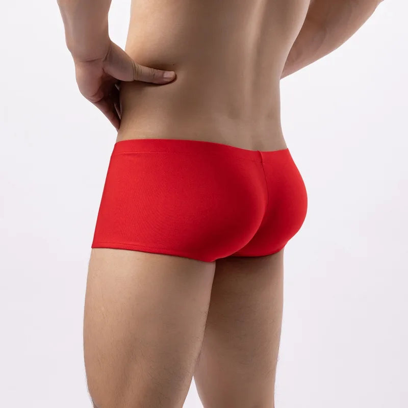 CIELO BOXER