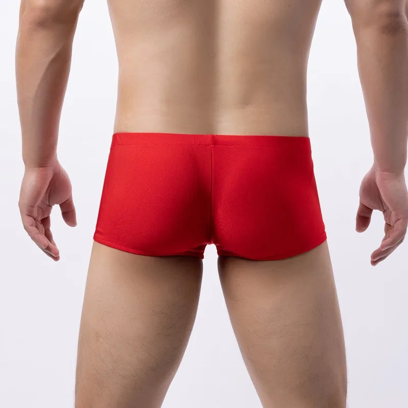 CIELO BOXER