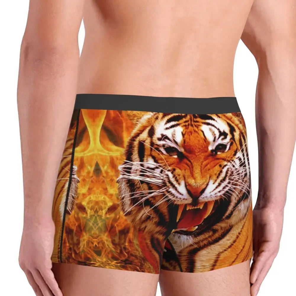 TIGER BOXER
