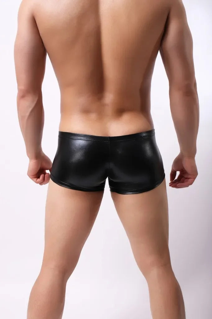 SHINNY BOXER