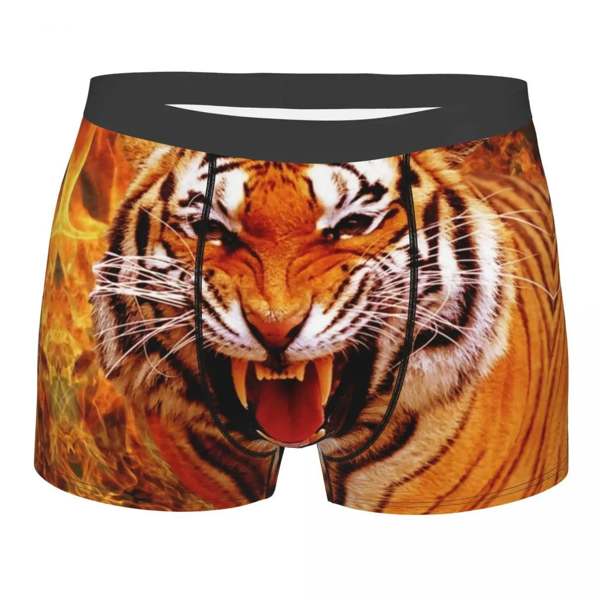 TIGER BOXER