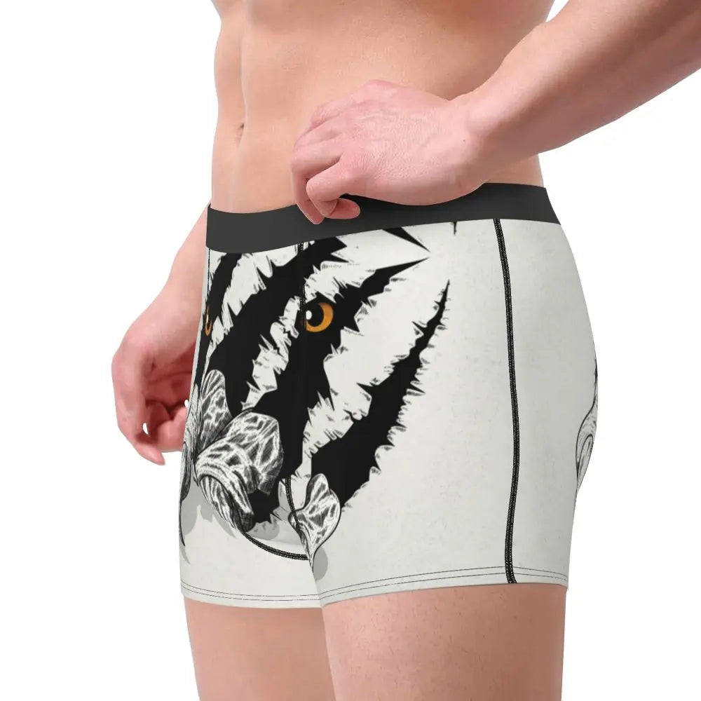 TIGER BOXER