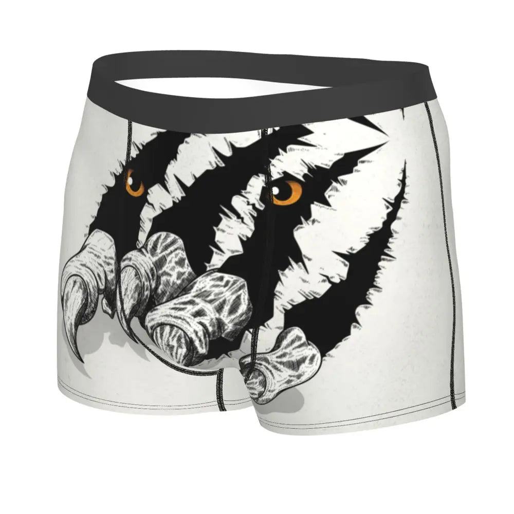 TIGER BOXER
