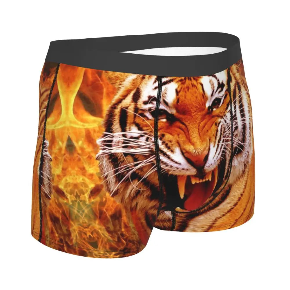TIGER BOXER