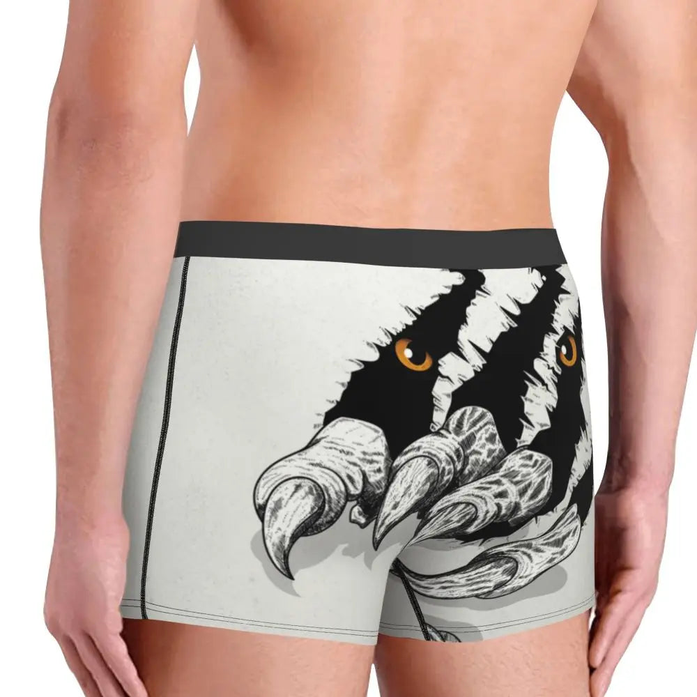 TIGER BOXER