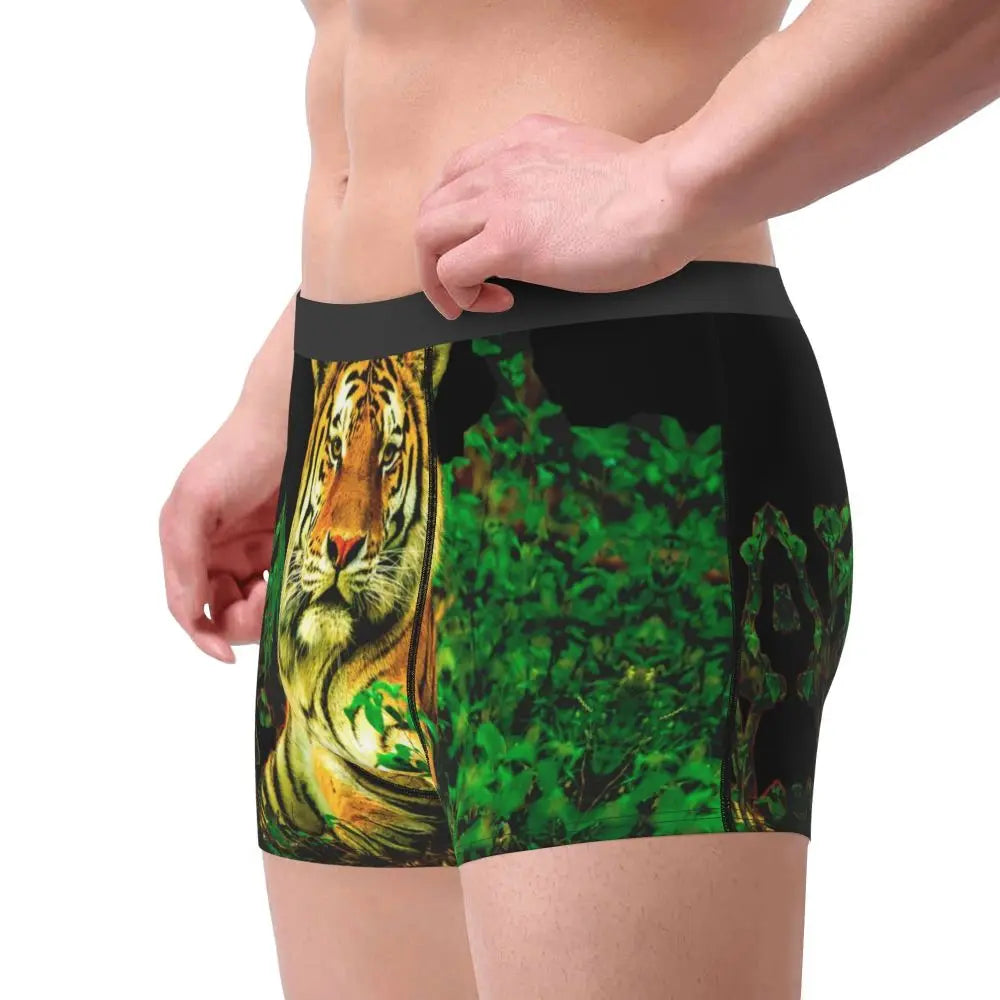 TIGER BOXER