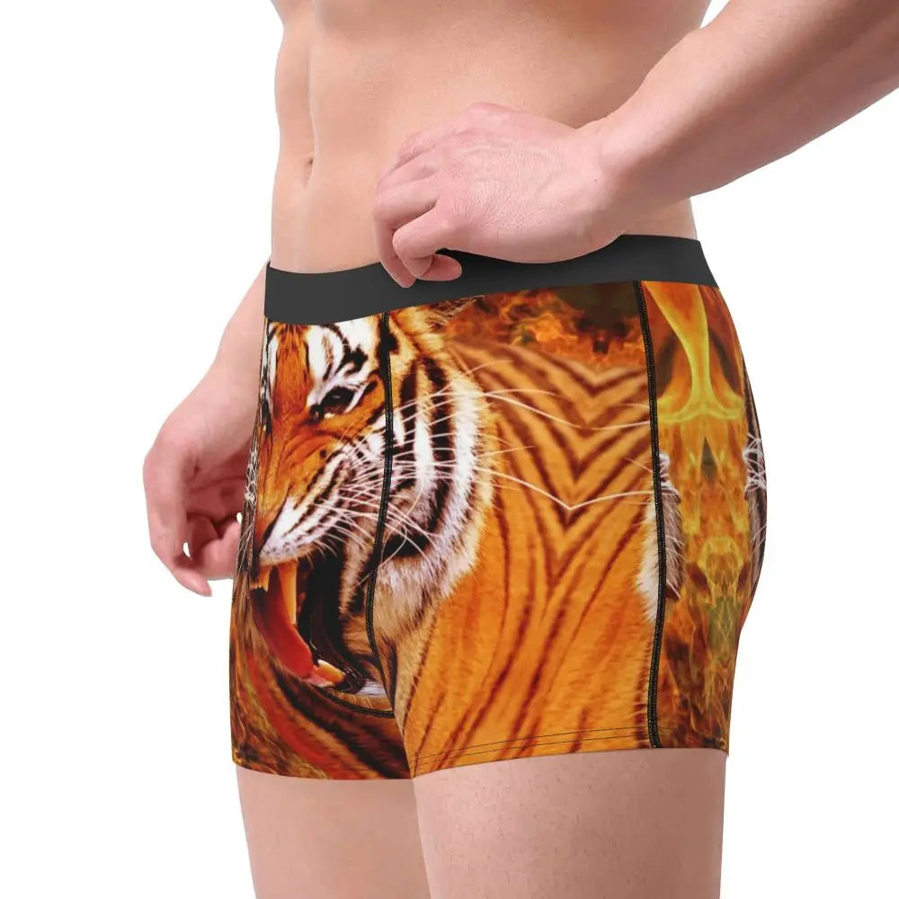 TIGER BOXER