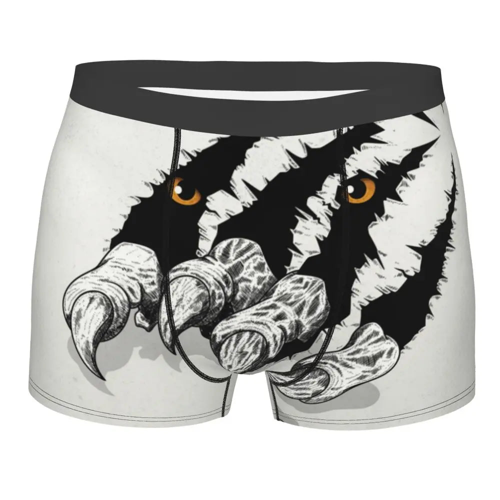 TIGER BOXER