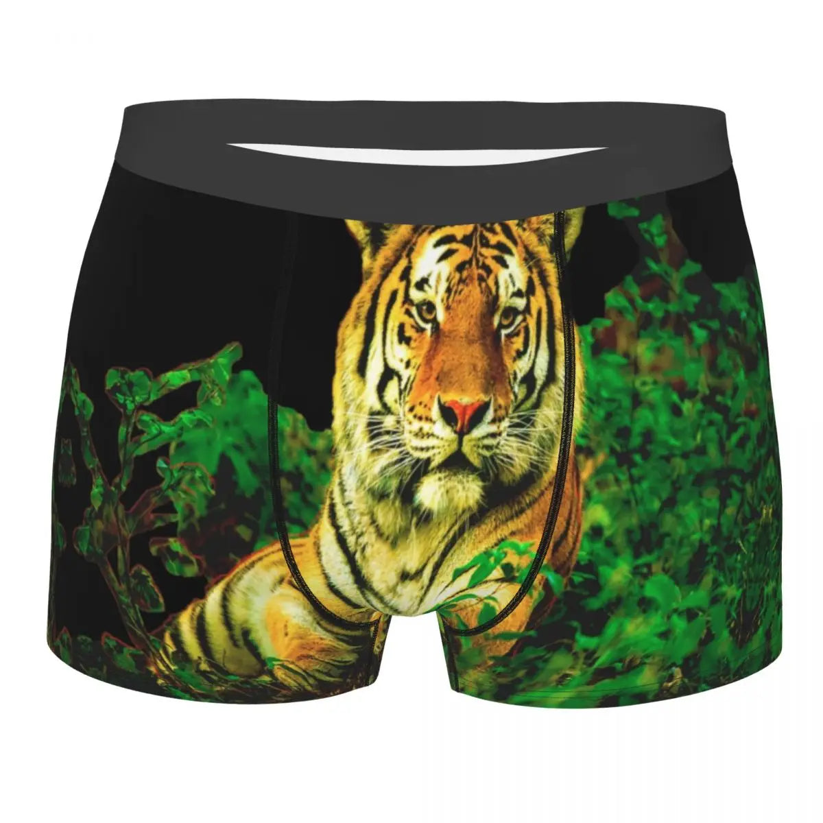 TIGER BOXER