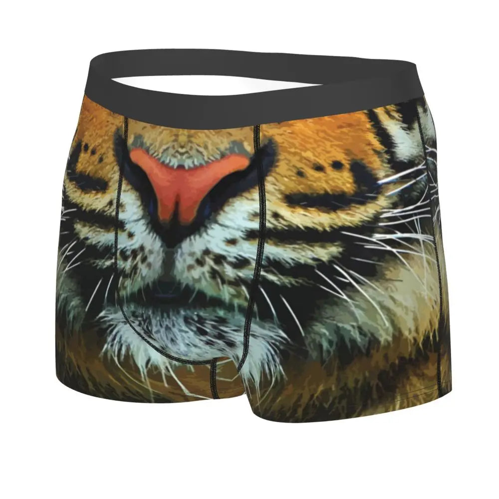 TIGER BOXER