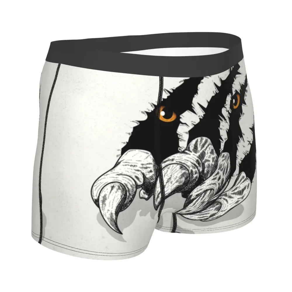 TIGER BOXER