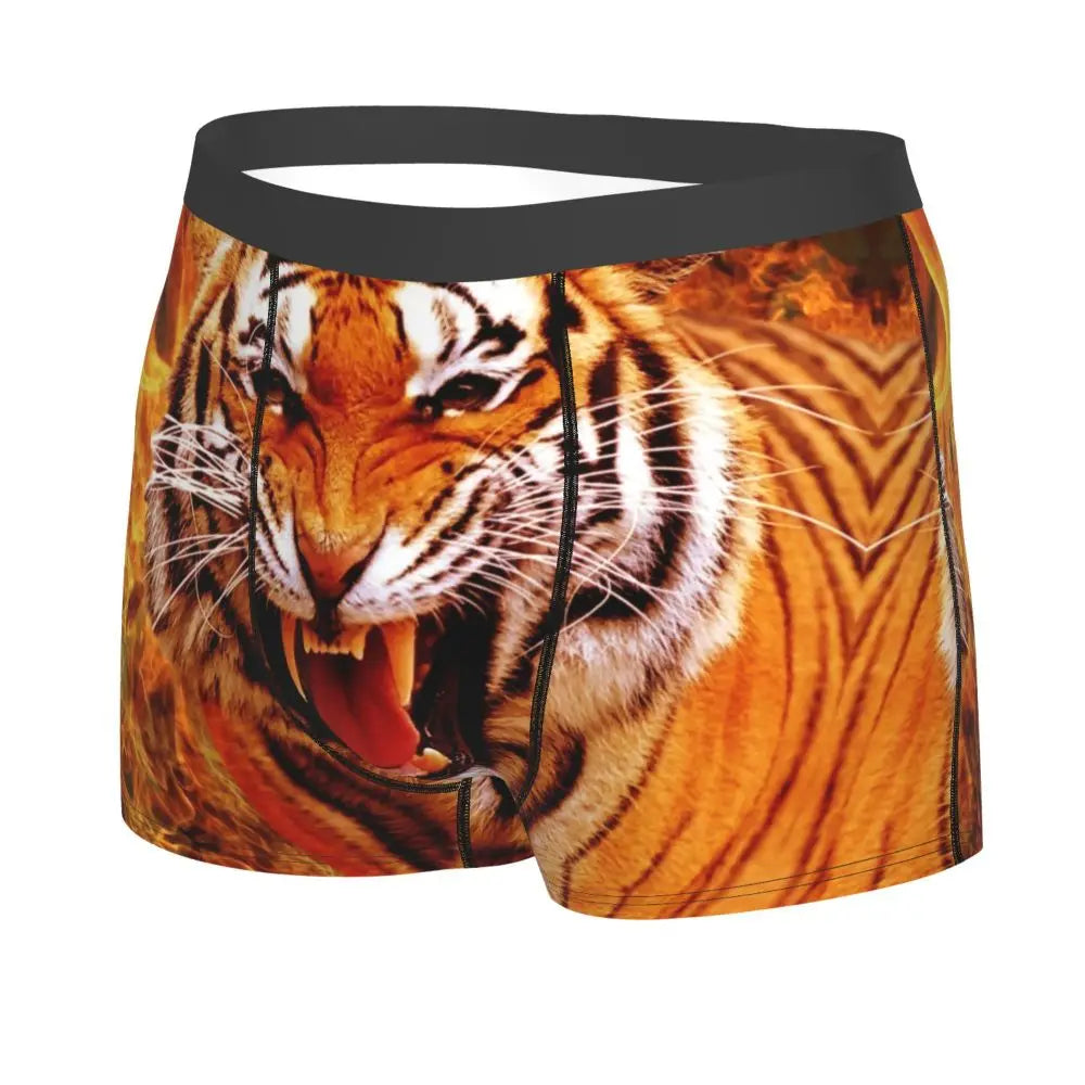 TIGER BOXER