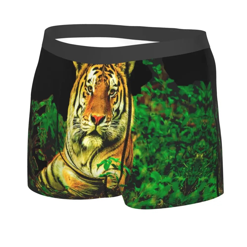 TIGER BOXER